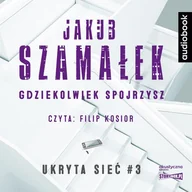 Audiobooki - kryminał, sensacja, thriller - gdziekolwiek spojrzysz. ukryta sieć. tom 3 - miniaturka - grafika 1