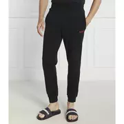 Hugo Bodywear Spodnie dresowe Linked Pants CW | Regular Fit
