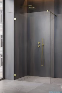 Radaway Essenza Pro Brushed Gold 100x200 kabina Walk-in szczotkowane złoto 10103100-99-01 - Kabiny prysznicowe - miniaturka - grafika 1