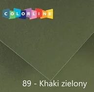 Szkolne artykuły papiernicze - Brystol Canson Colorline 89 zielony 150g 10k [mm:] 500x650 (400110146) - miniaturka - grafika 1