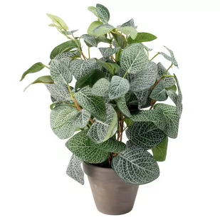 Sztuczna pilea, w doniczce, 11,5 cm - Sztuczne kwiaty - miniaturka - grafika 1