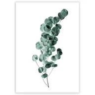 Plakaty - Dekoria Dekoria Plakat Eucalyptus Emerald Green 40 x 50 cm Ramka Srebrna 221B-000-02 - miniaturka - grafika 1