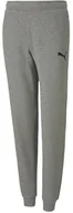 Spodnie męskie - Spodnie dla dzieci Puma teamGOAL 23 Casuals Pants Jr szare 656713 33-140 - miniaturka - grafika 1