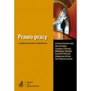 C.H. Beck Prawo pracy - Andrzej Patulski