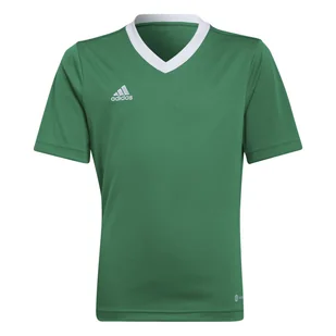 Dziecięca Koszulka z krótkim rękawem ADIDAS ENT22 JSY Y HI2126 – Zielony - Piłka nożna - miniaturka - grafika 1