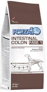 Karma sucha dla psa FORZA10 Intestinal Colon Fase 1, 10 kg. - Sucha karma dla psów - miniaturka - grafika 1