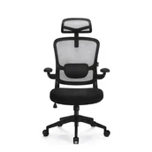 Fotele i krzesła biurowe - LEVANO SYSTEM Fotel biurowy Ergo Basic - miniaturka - grafika 1