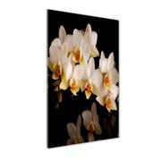 Obrazy i zdjęcia na płótnie - Foto-obraz szkło hartowane Orchidea - miniaturka - grafika 1