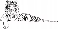 Naklejki na ścianę - Naklejka na ścianę tygrys - Dzikie koty 6, 100x48 cm - miniaturka - grafika 1