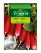 Nasiona i cebule - NASIONA VILMORIN RZODKIEWKA NA TAŚMIE 7 METRÓW - miniaturka - grafika 1