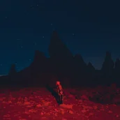 Folk - Phoebe Bridgers - Punisher - miniaturka - grafika 1