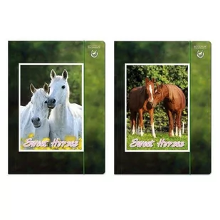 Starpak Teczka z gumką A4 Horses - Szkolne artykuły papiernicze - miniaturka - grafika 1