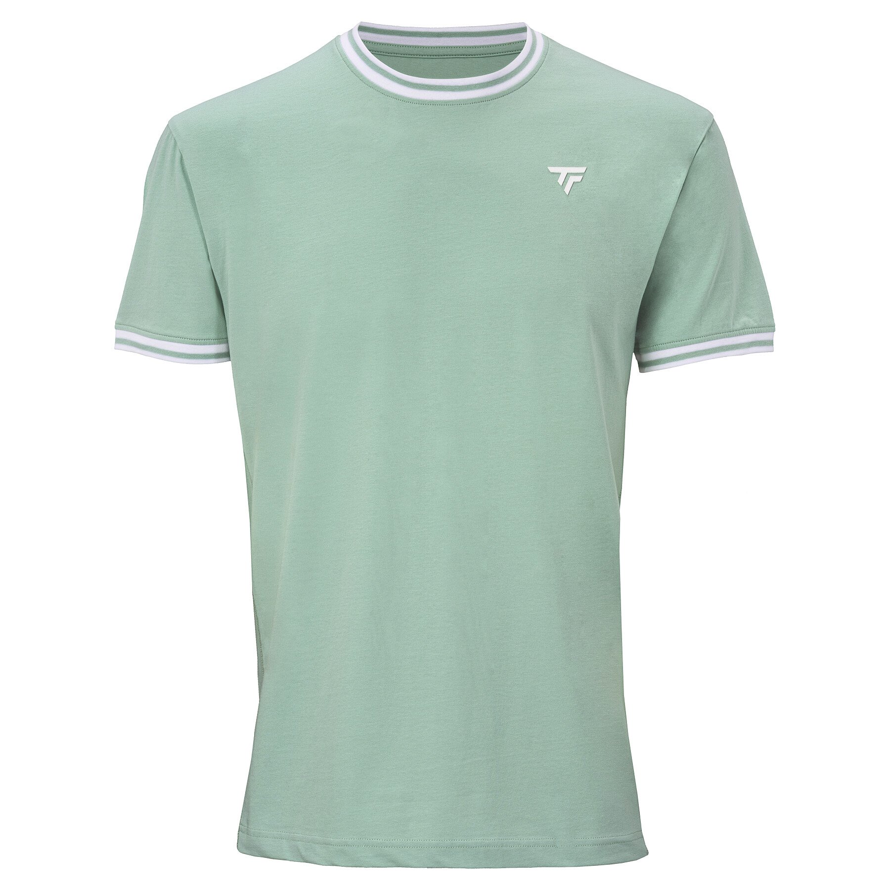 Koszulka męska Tecnifibre Team Stretch Tee Sage L