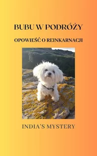 Bubu w podróży. Opowieść o reinkarnacji - E-booki - religia - miniaturka - grafika 1