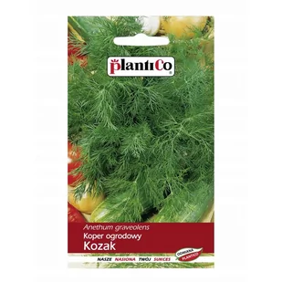 Plantico Koper Kozak - Nasiona i cebule - miniaturka - grafika 1