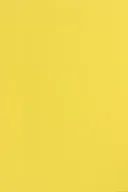 Dekoratorstwo - [ MC.7 ] Papier Sirio Col. 210g Limone żółty - 25A4 / al *  Papier Sirio Color 210g Limone pak. 25A4 - miniaturka - grafika 1