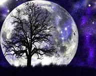 Zabawki kreatywne - Diamond Painting Haft Diamentowy Mozaika Zestaw 5D - miniaturka - grafika 1