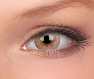 Soczewki kontaktowe - Maxvue Vision ColourVUE Fizzy - Signature Brown, 2 szt. moc 0.00 - miniaturka - grafika 1