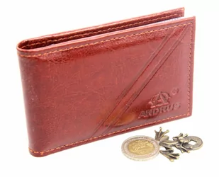 Etui Na Karty Dokumenty ANDRUS (PL) Wizytownik Skóra Naturalna RFID 11x7,5 cm - Etui na dokumenty i karty - miniaturka - grafika 4