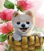 Malowanie po numerach - OBRAZ DO MALOWANIA PO NUMERACH ZESTAW Z RAMĄ 40X50 NR 839 - miniaturka - grafika 1