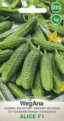 Nasiona i cebule - Ogórek konserwowy gruntowy Alice F1 5g nasiona - WegAna - miniaturka - grafika 1