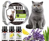 Obroże dla kotów - OBROŻA DLA KOTA NA PCHŁY KLESZCZE 8 MIESIĘCY 40 CM UNIWERSALNA - miniaturka - grafika 1