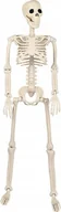 Dekoracje sali - Korbi SZKIELET CZŁOWIEKA SZKIELETOR KOŚCIOTRUP CZASZKA DEKORACJA HALLOWEEN 93CM - miniaturka - grafika 1