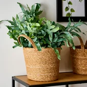 Donice - Sinsay - Kosz do przechowywania - Beżowy - miniaturka - grafika 1