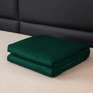 Narzuty - FEBE narzuta na łóżko narzuta na łóżko 240x220 cm zielony koc narzuta na sofę narzuta na sofę puszysta mikrofibra dekoracja pokoju koc narzuta - miniaturka - grafika 1