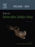 Zdrowie - poradniki - Wheeler Budowa zębów, fizjologia i okluzja - Nelson Stanley J., Grażyna Śmiech-Słomkowska - miniaturka - grafika 1