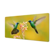 Podkładki na biurko - Modna wzory mata na biurko winyl Koliber ptaszek, ArtprintCave - miniaturka - grafika 1