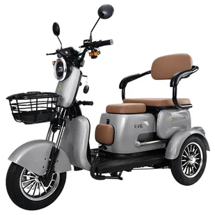 Freejoyer FV6 Electric Tricycle 1000W Motor 60V 20Ah Battery 10*3 inch Tire 25km/h Max Speed 55km Range Front Disc Brake - Rowery elektryczne - miniaturka - grafika 1