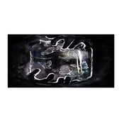 Foto gadżety - Fotoobraz na ścianę szklany Motyle w słoiku - miniaturka - grafika 1