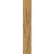 Płytki ceramiczne - PARADYŻ FREELAND GOLD GRES SZKL. REKT. MAT. 9.8X59.8 G1 FREELAND GOLD GRES SZKL. REKT. MAT. 9.8X59.8 G1 - miniaturka - grafika 1