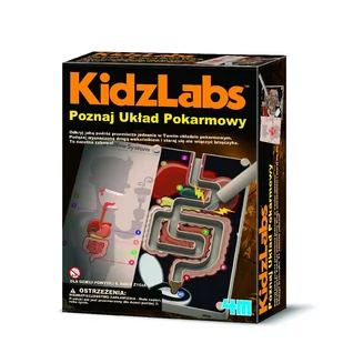 4M KidzLabs Poznaj Układ Pokarmowy - Mały naukowiec - miniaturka - grafika 4