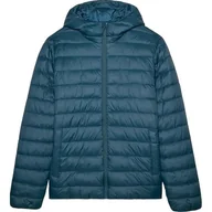 Kurtki i kamizelki sportowe męskie - Kurtka puchowa męska TDJAM484 4F - miniaturka - grafika 1