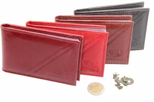 Etui Na Karty Dokumenty ANDRUS (PL) Wizytownik Skóra Naturalna RFID 11x7,5 cm - Etui na dokumenty i karty - miniaturka - grafika 7