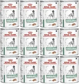 Mokra karma dla psów - Royal Canin Diabetic Special Low Carbohydrate 48x410g puszka 36739-uniw - miniaturka - grafika 1