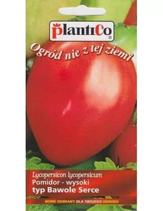 Plantico Pomidor typ Bawole Serce Solanum lycopersicum 0,2g - Nasiona i cebule - miniaturka - grafika 1