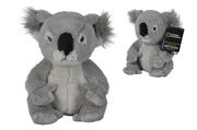 Maskotki i pluszaki - Simba Toys, Disney Nat Geo Koala, 25cm - miniaturka - grafika 1