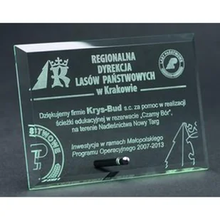 Trofeum szklane grawerowane - Gadżety dla kibiców - miniaturka - grafika 1