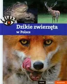 Albumy krajoznawcze - Dzikie zwierzęta w Polsce. Piękne, ciekawe, wyjątkowe - miniaturka - grafika 1