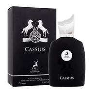 Wody i perfumy męskie - Maison Alhambra, Cassius, Woda perfumowana, 100ml - miniaturka - grafika 1