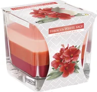 Świece - Świeca Zapachowa W Szkle Trójkolorowa Bispol 32H Hibiskus - Biała Szałwia - miniaturka - grafika 1