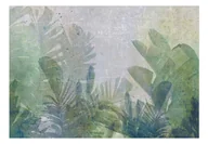 Fototapety - Fototapeta samoprzylepna - Bananowe pole (rozmiar 147x105) - miniaturka - grafika 1