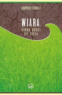 Wiara, która budzi do życia - Wysyłka od 3,99 - Religia i religioznawstwo - miniaturka - grafika 1