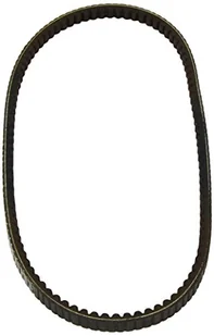 DAYCO Pasek klinowy 17A1055C - Rolki i napinacze - miniaturka - grafika 1