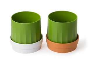 Qualy Pojemnik na chusteczki i papier Cactiss 10276-OR-GN QL10276-OR-GN - Pojemniki łazienkowe - miniaturka - grafika 1