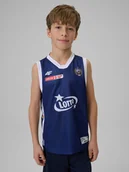 Koszulki dla chłopców - 4F Koszulka meczowa replika wyjazdowa z sezonu 2025/26 dziecięca 4F x Arka Gdynia - granatowa 98/104 - miniaturka - grafika 1