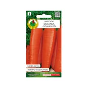 Nasiona i cebule - Marchew jadalna Dolanka nasiona 2g Pnos - miniaturka - grafika 1